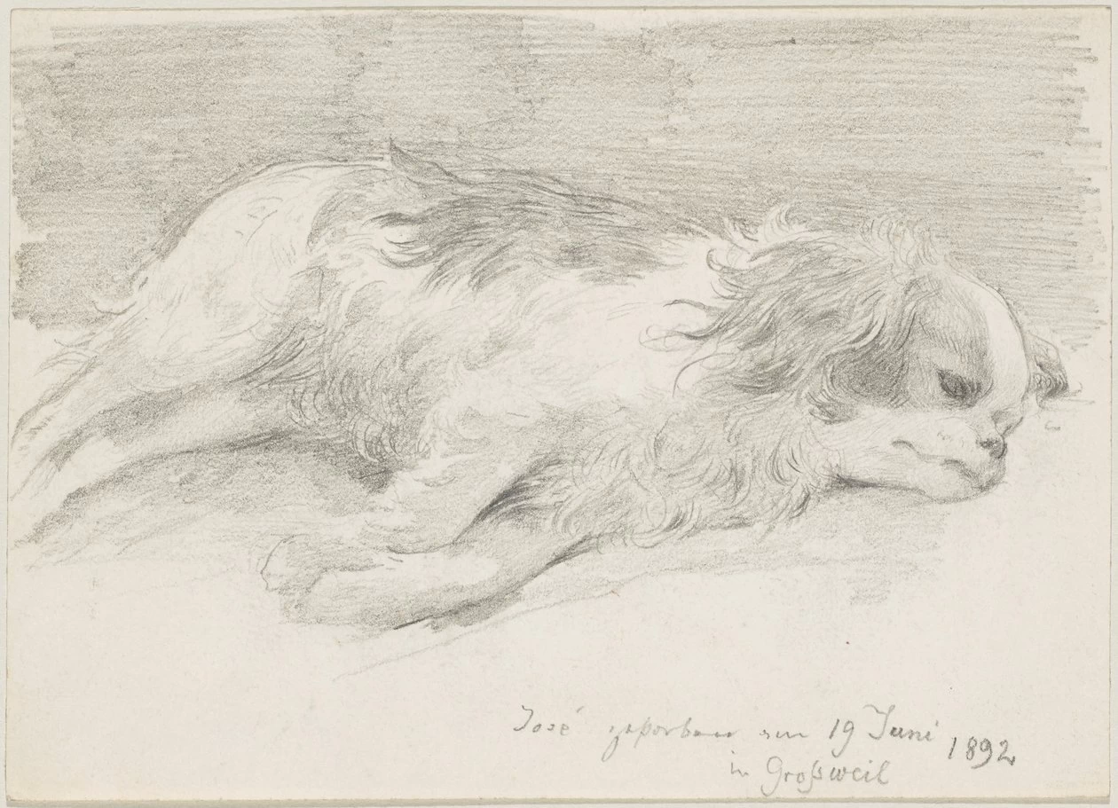 Studi sui cani - Städtische Galerie im Lenbachhaus und Kunstbau München
